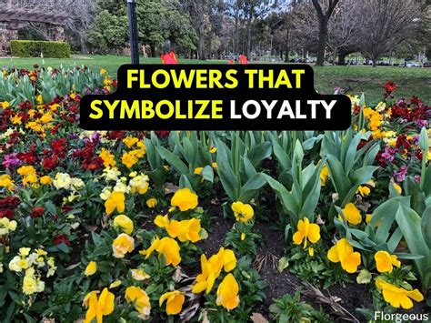 flowers meaning trust|symbols for loyalty.